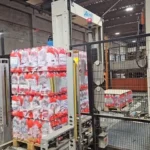 Packer Monoblock & Palletizer Prosystem photo 3