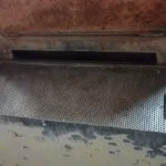 Bottle Washer R.Bardi Pulp photo 1