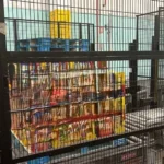 Ocme Palletizer Pegasus photo 3