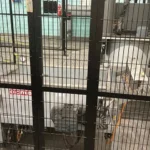 Ocme Palletizer Pegasus photo 7