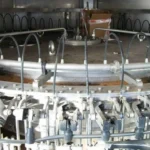 Bertolaso rinser photo 2